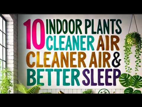 10 Life-Changing Indoor Plants for Clean Air, Restful Sleep & Wellness
