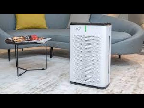 5 Best Air Purifier You Can Buy in 2022