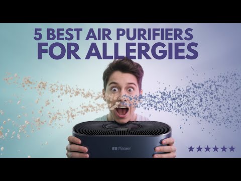 5 Best Air Purifiers That Actually Stop Allergy Symptoms