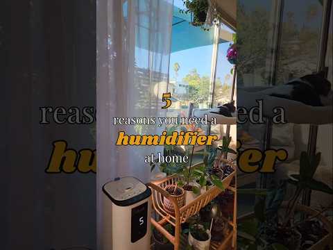 5 Reasons You NEED a Humidifier at Home | Benefits of a Humidifier πΏπ§