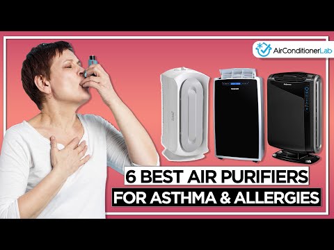 6 Best Air Purifiers For Asthma & Allergies