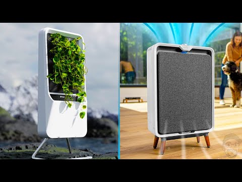 7 Best Air Purifiers in 2024