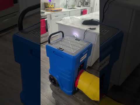 Air Purifier
