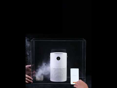 AutoFrigo gogetit Commercial Air purifier smoke Test