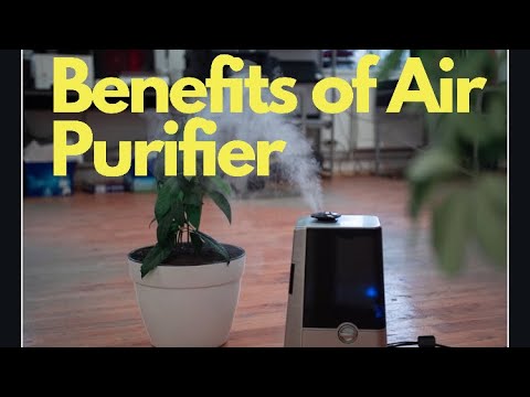 BENEFITS OF AIR PURIFIER – G' STUFF HEALTH INFO