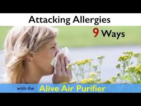 Best Air Allergy Purifier