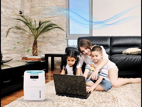 Best Air Humidifier for your home and office  | Air Purifier and Baby Humidifier