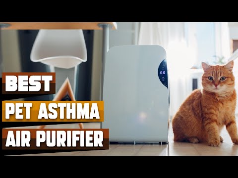 Best Air Purifier for Pet Allergies and Asthma in 2025 (Top 10 Picks)
