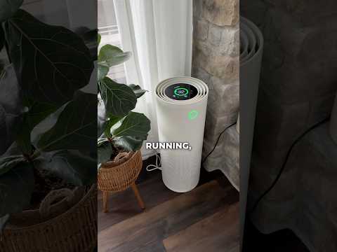 BEST Air Purifier on the Market Right Now (JASPR Review)