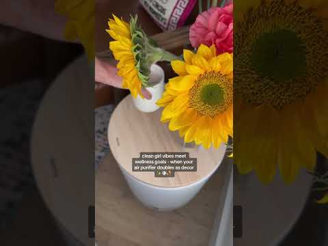 Bloom™️ Air Purifier makes wellness look effortless 💅 #cleaning #airpurifier