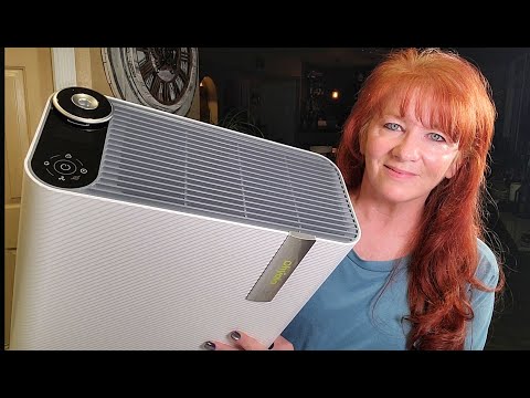 Breathe Easier with the Dhyala HEPA Air Purifier & Humidifier Combo!