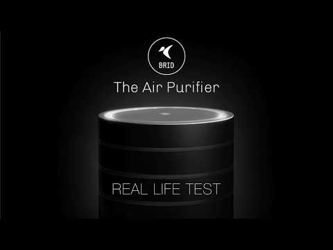 BRID Air Purifier – Real Life Test – Best Anti Allergy Air Purifier