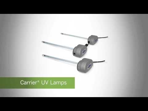 Carrier® UV Lamps