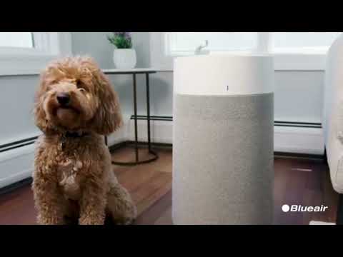 Clean Air Revolution: Introducing True HEPA Purifier with Smart Air Quality Monitoring!