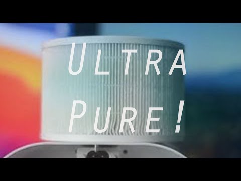 Clean-tech Medical Grade Air Purifier – Review!