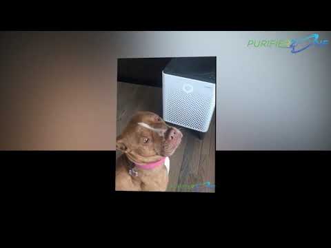 Coway Airmega 300 Smart Air Purifier Review