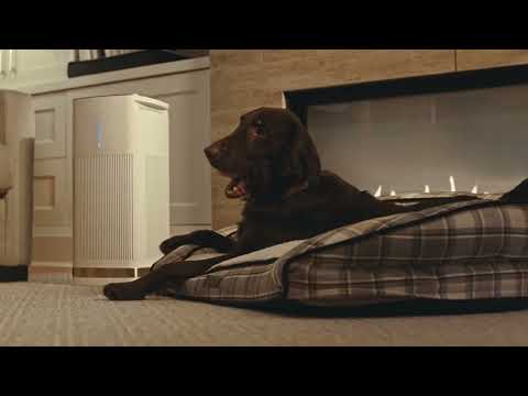 Cuisinart® | Countertop and Freestanding HEPA Air Purifiers Commercial