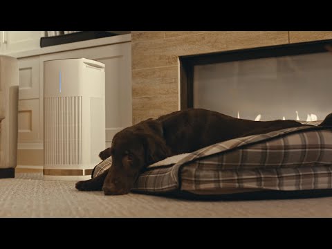 Cuisinart New Air Purifier 6-Second English Commercial