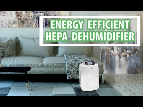 Dehumidifier with HEPA air cleaner to control humidity, dust, virus, pathogens | VackerGlobal