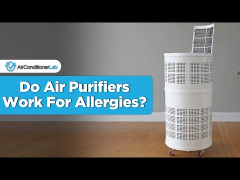Do Air Purifiers Actually Help With Allergies? (Get Some Allergy Relief This Summer!)