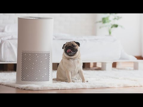 Do air purifiers have positive health benefits? | Verify