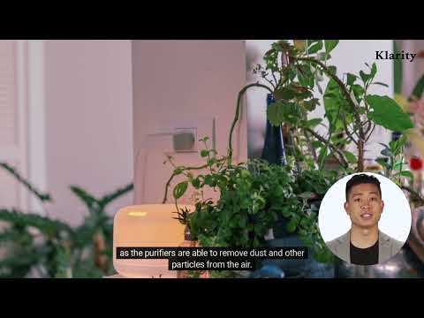 Do Air Purifiers Help Asthma?