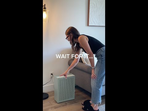 Do air purifiers work?