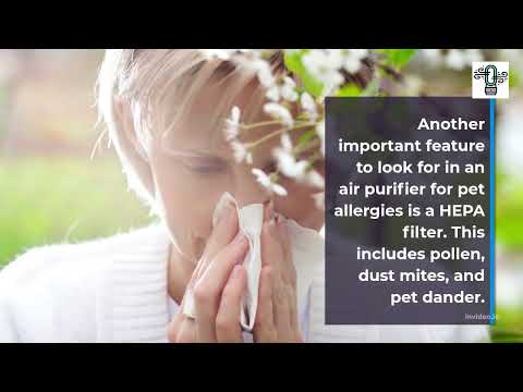 Does An Air Purifier Help With Pet Allergies
