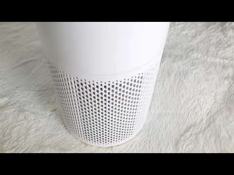 ECOWELL Air Purifier with H13 True HEPA Filter, Auto Sensor