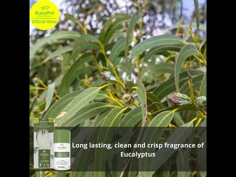Eucapro Auto Air Purifier Dispenser with Eucalyptus Metered Spray