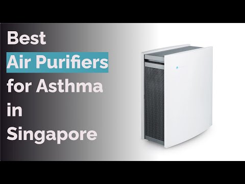 🌵 8 Best Air Purifiers for Asthma in Singapore