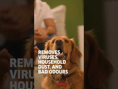 Fresh Air At Home with Karcher Air Purifiers!