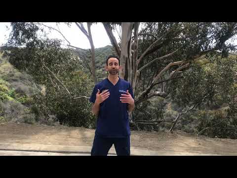 Get Some Clean Air – It Cleans the Body – Kimia Wellness