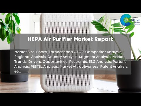 HEPA Air Purifier Market Report 2024 | Forecast, Market Size, Growth, Trends