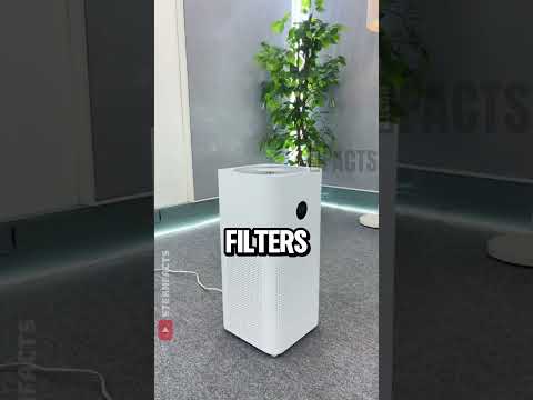 How Air Purifiers REALLY Work 🌬️💨