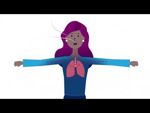 How Indoor Air Quality Impacts Your Lungs