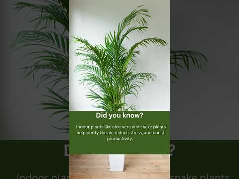 How Indoor Plants Purify Air & Boost Health | Best Plants for Clean Air #healthtips #shorts