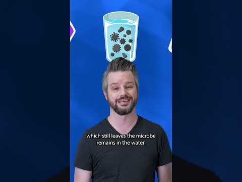 How NSF P231 Certification Ensures Virus‑Free Drinking Water (Microbiological Purifier Explained)