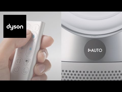 How to use auto mode on your Dyson Pure humidify + cool™