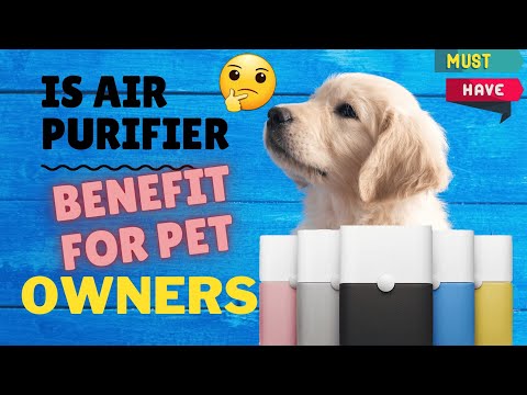 Is Air purifier benefits for pet owners? Watch if you have pet in home|