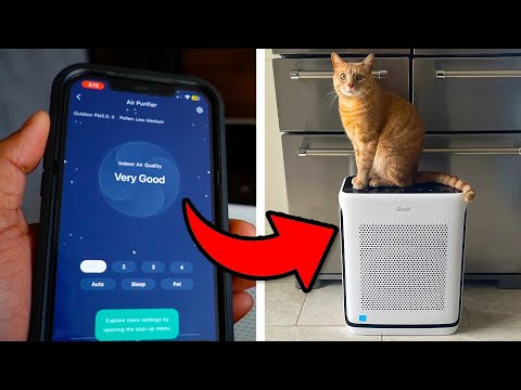 Is The Levoit Vital 200S The Best Air Purifier 2024? | Full Setup
