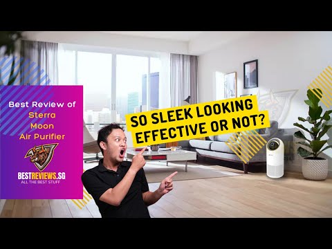 Is the Sterra Moon Air Purifier Any Good? We Review and Put it to the Test.