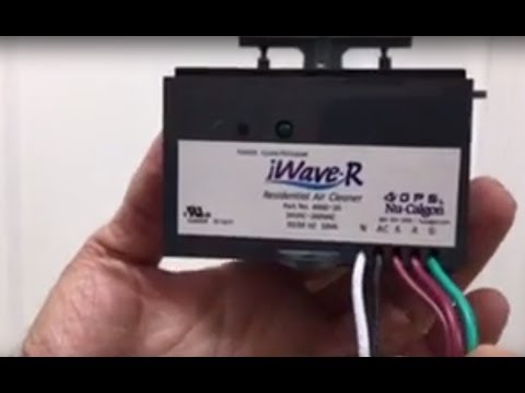 iWave R Health Benefits & Beyond