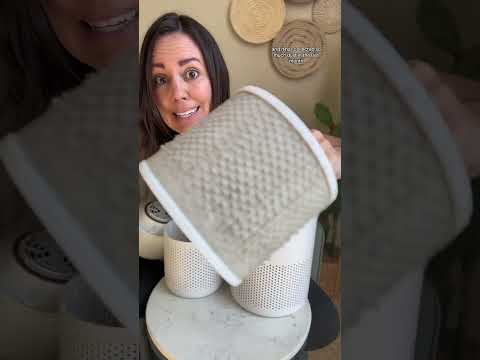 Levoit Air Purifier Comparison | Which is right for you? | Review Rundown