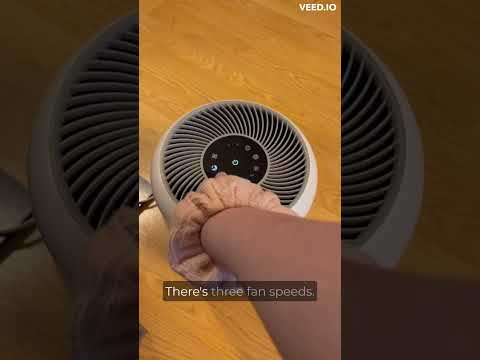LEVOIT Air Purifier For Pets (Review)