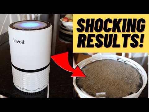 Levoit Air Purifier Review 2021 | Shocking Results 6 Months Later | H13 HEPA Filter Mold Dust Pollen