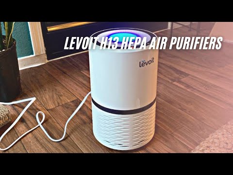 LEVOIT Air Purifier with H13 True HEPA Filter Review & Test | Air Purifiers for Smokers, Smoke, Dust