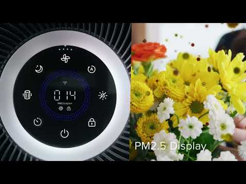 LEVOIT Air Purifiers Review: Smart WiFi, PM2.5 Monitor & Alexa Control