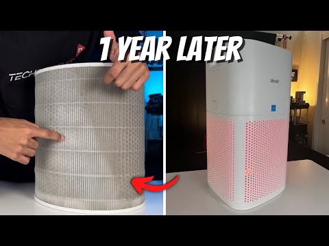 Levoit Core 600s 1 Year Later REVIEW!