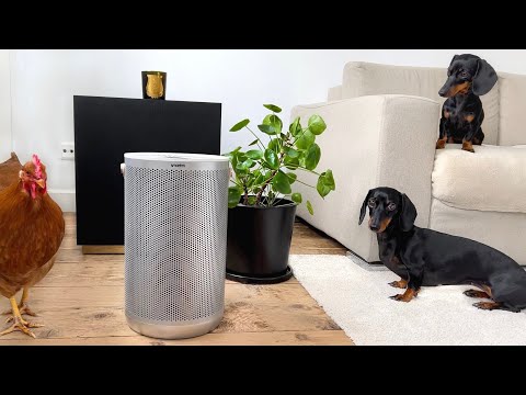 No better test panel than this. Smartmi Air Purifier.